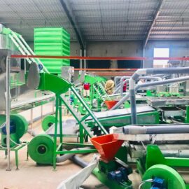 automatic cashew shelling line