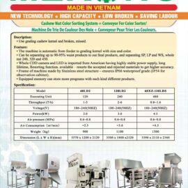 Cashew Nut Color Sorting Machine