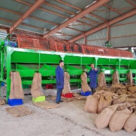 Raw Cashew nut Sizing Machine